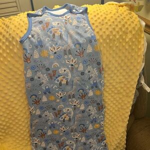 Sleep Sack Blue Dinosaur Print
